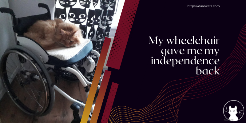 Image of cat in wheelchair, and text "My wheelchair gave me my independence back".