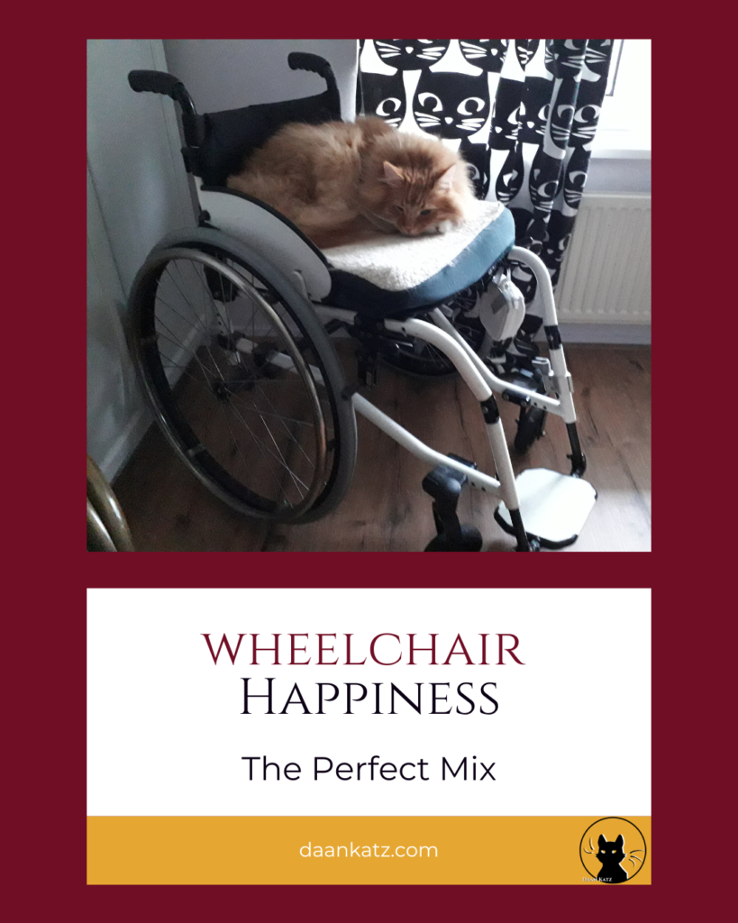 Wheelchair Happiness: The Perfect Mix