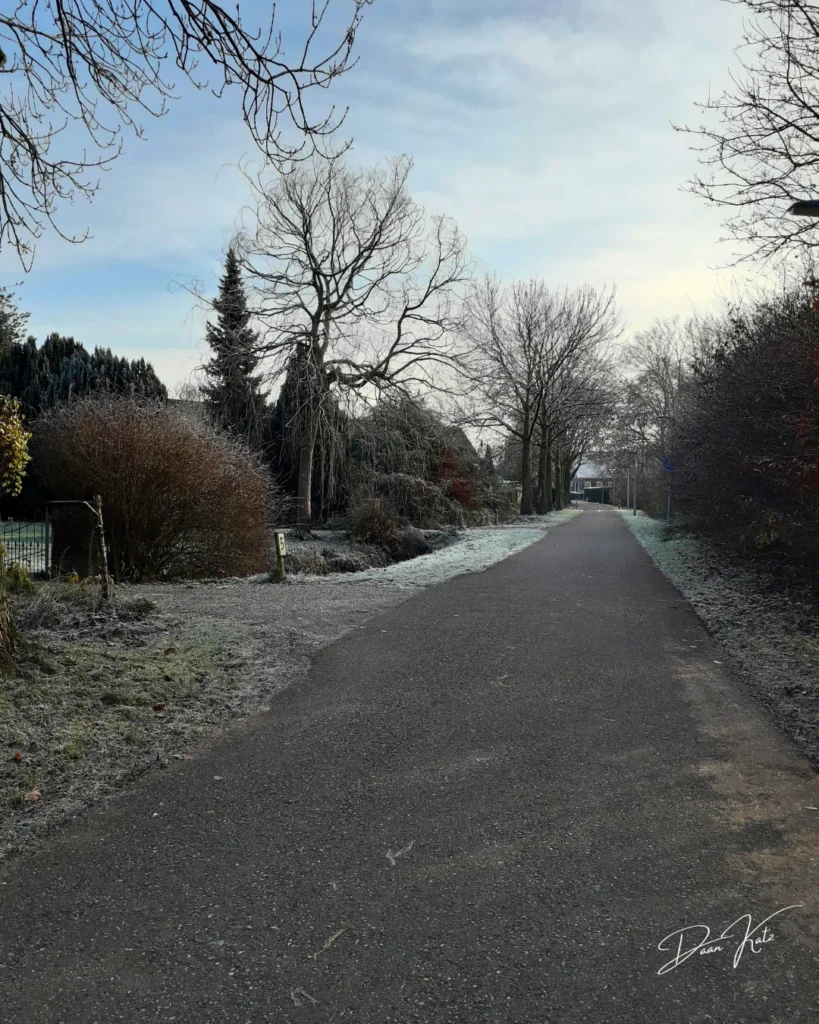 A quiet paved path runs through a frosty landscape, with bare trees and bushes on either side under a cloudy sky—a scene reminiscent of an elegy in 5 lines. Houses are partially visible in the background.