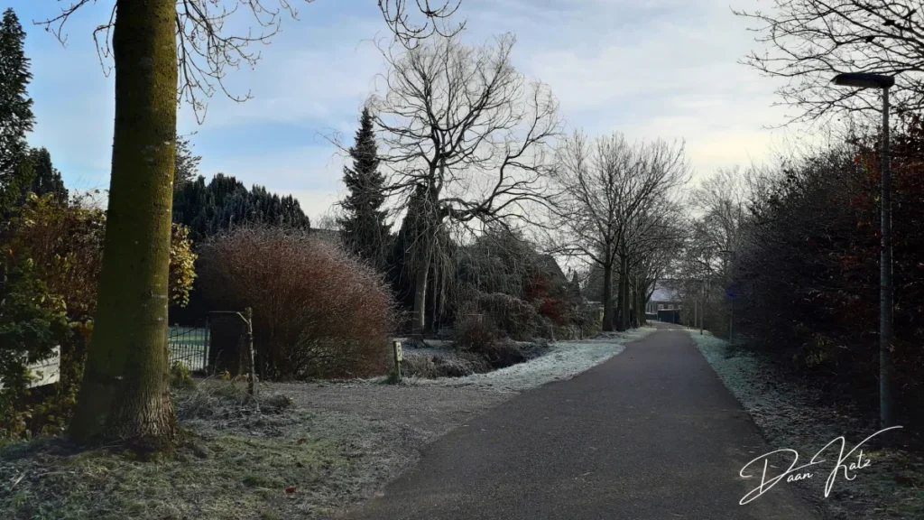 A quiet paved path runs through a frosty landscape, with bare trees and bushes on either side under a cloudy sky—a scene reminiscent of an elegy in 5 lines. Houses are partially visible in the background.
