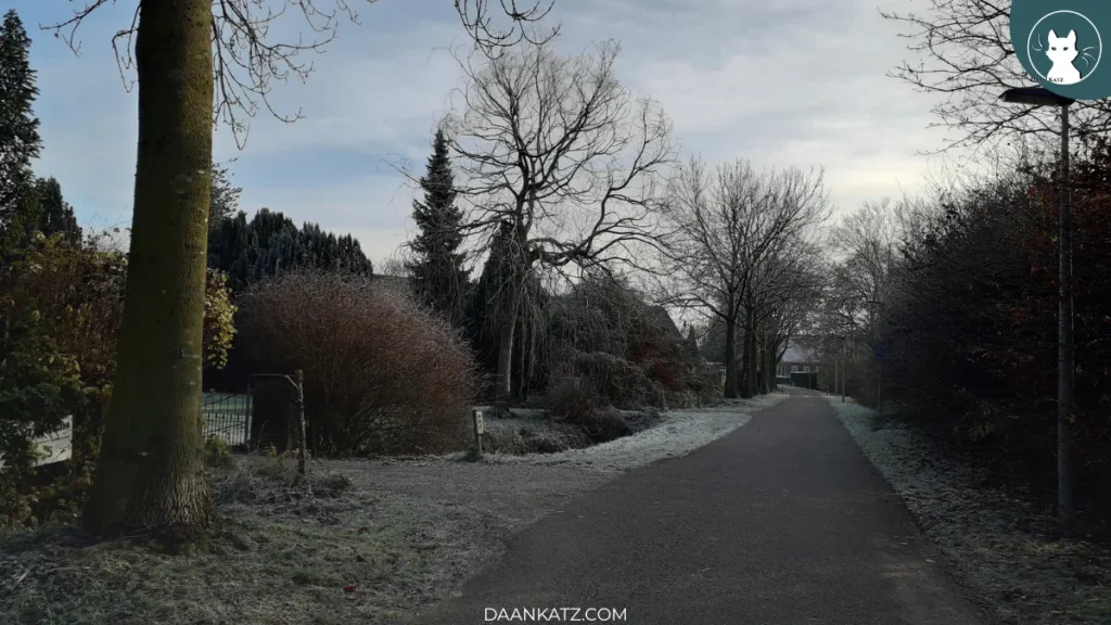 A quiet paved path runs through a frosty landscape, with bare trees and bushes on either side under a cloudy sky—a scene reminiscent of an elegy in 5 lines. Houses are partially visible in the background.